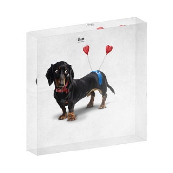Pet_Acrylic_Block