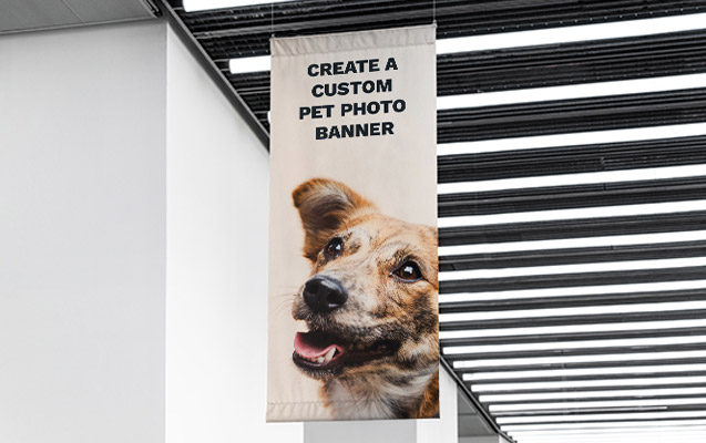 Custom Pet Photo Banner