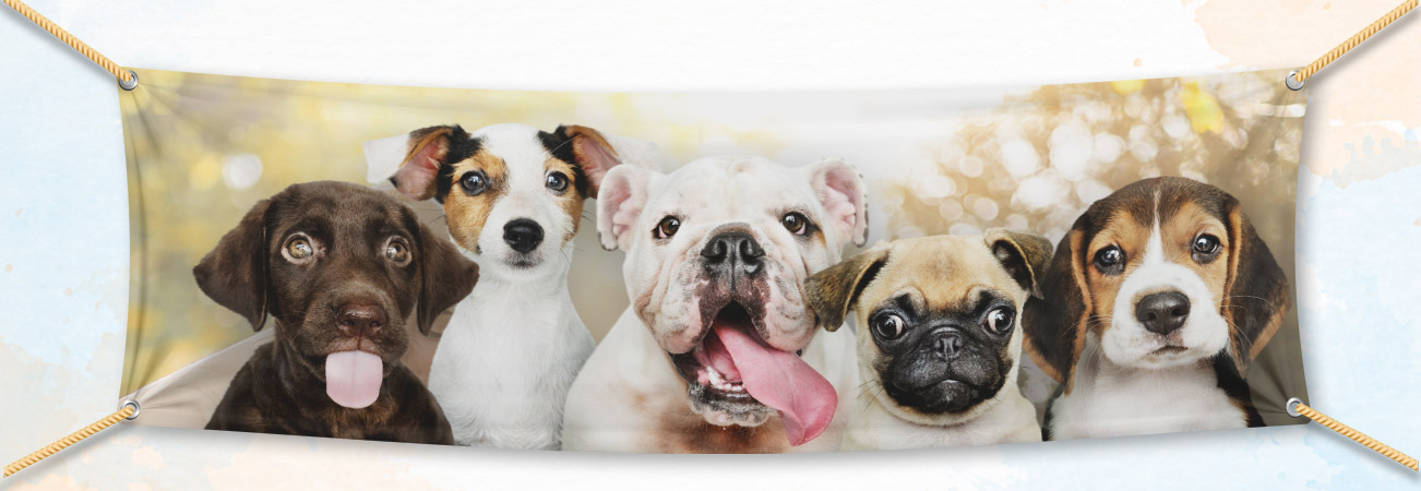 Custom Pet Banner | My Pet Crew