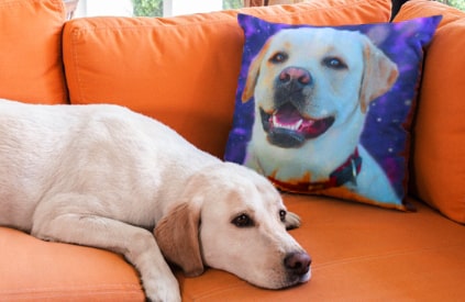 18x18 Pillow - Personalized Pet Pillow, Custom Pillows with Picture, H -  Pawfect House ™