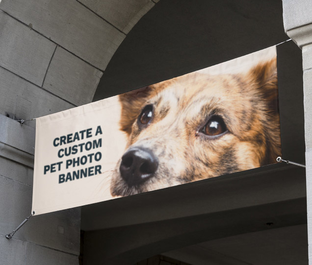 Pet Banner