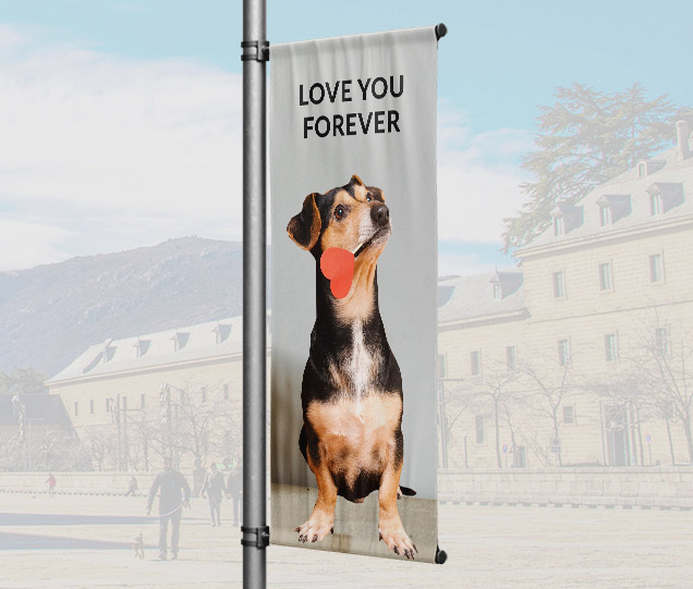 Pet Banner