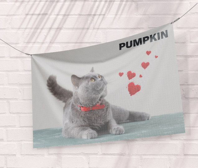 Pet Banner