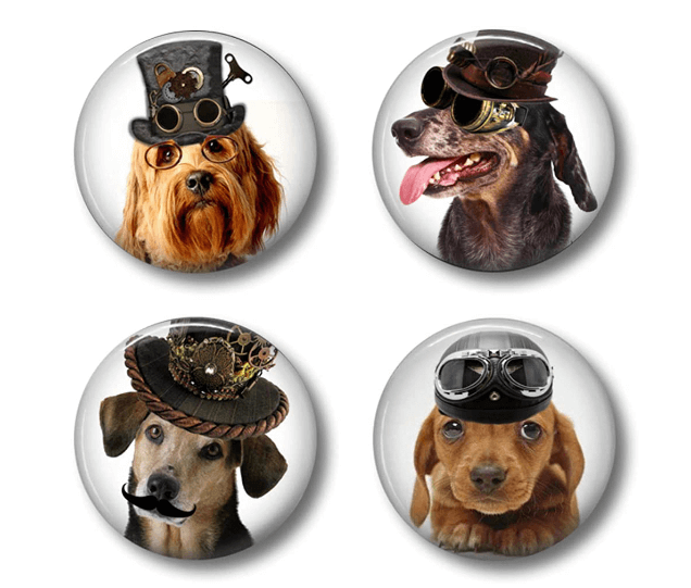 Create a Custom Pet Photo Magnet