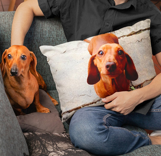 18x18 Pillow - Personalized Pet Pillow, Custom Pillows with Picture, H -  Pawfect House ™